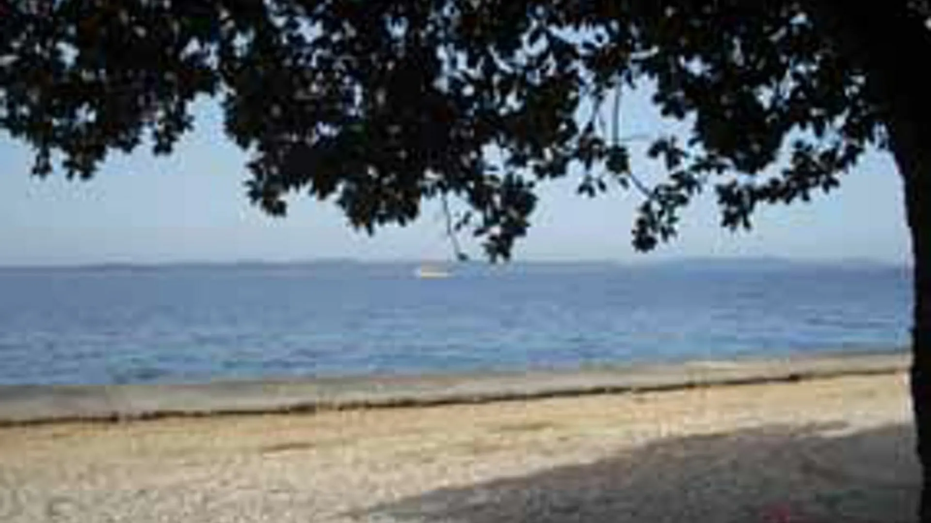 Studio In Gornje Petrcane, With Wonderful Sea View And Enclosed Garden
